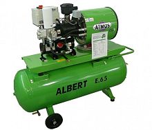 Винтовой компрессор Atmos Albert E 65-R 10
